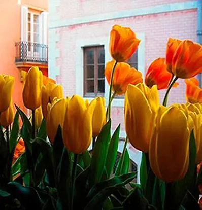 ** Vendégház Boutique Hotel Davallada- Adults Only Sitges Spanyolország